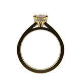 "Luna" 1 Carat Round Diamond Hidden Halo Solitare Engagement Ring