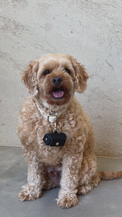 Black Ring Bearer Pouch Dog